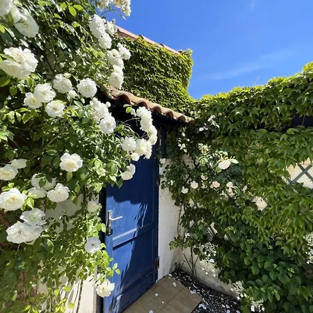 025-soulac Sur - 025 - Agreable Maison Avec Jardin Sans Vis A Vis Mae-2301